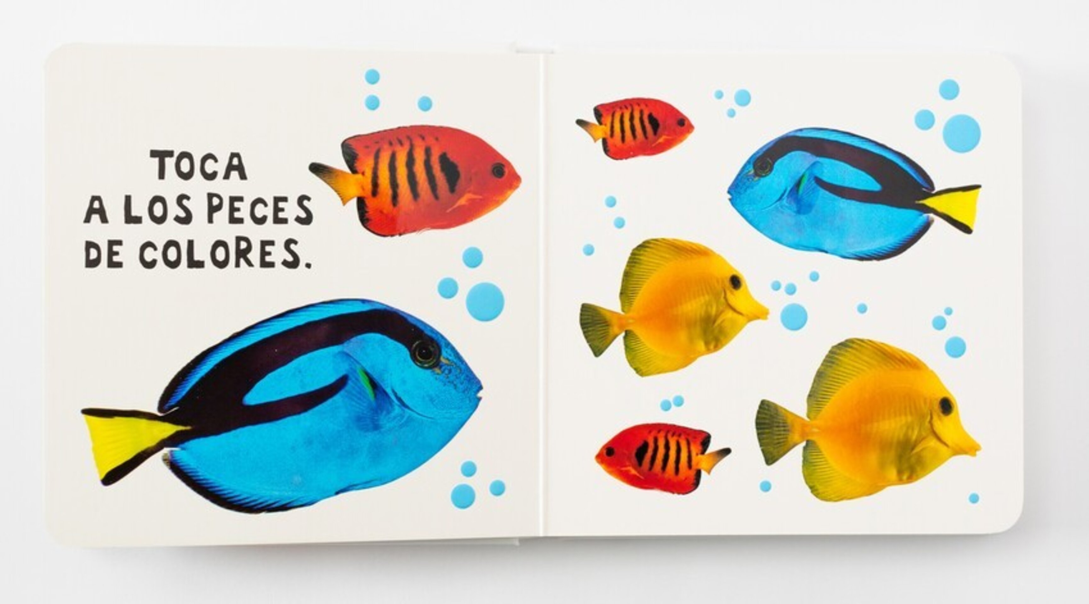 MIRA TOCA SIENTE ANIMALES VARIOS AUTORES - 2