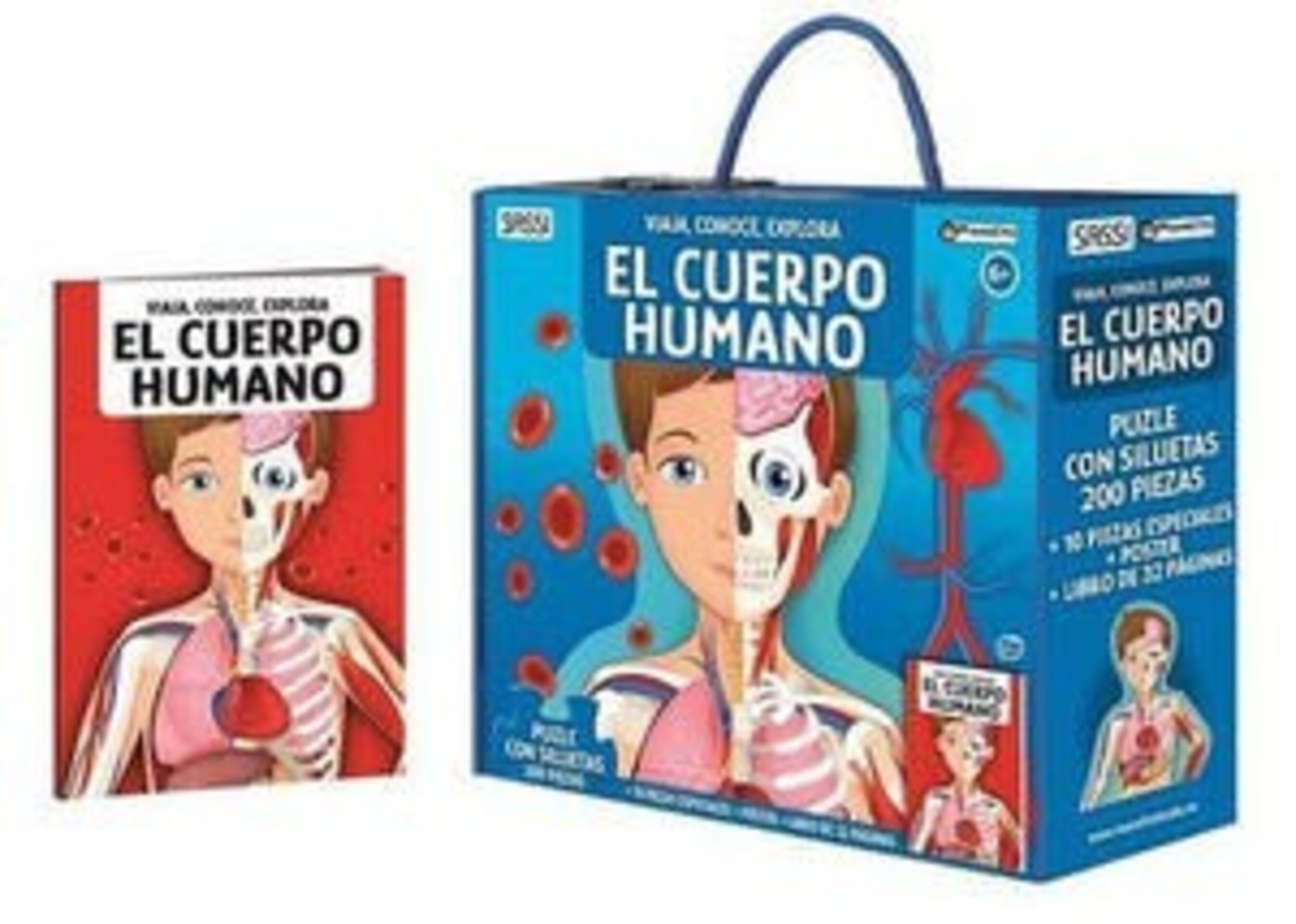 CUERPO HUMANO NUEVA EDICION ( GAULE M. ) - 1