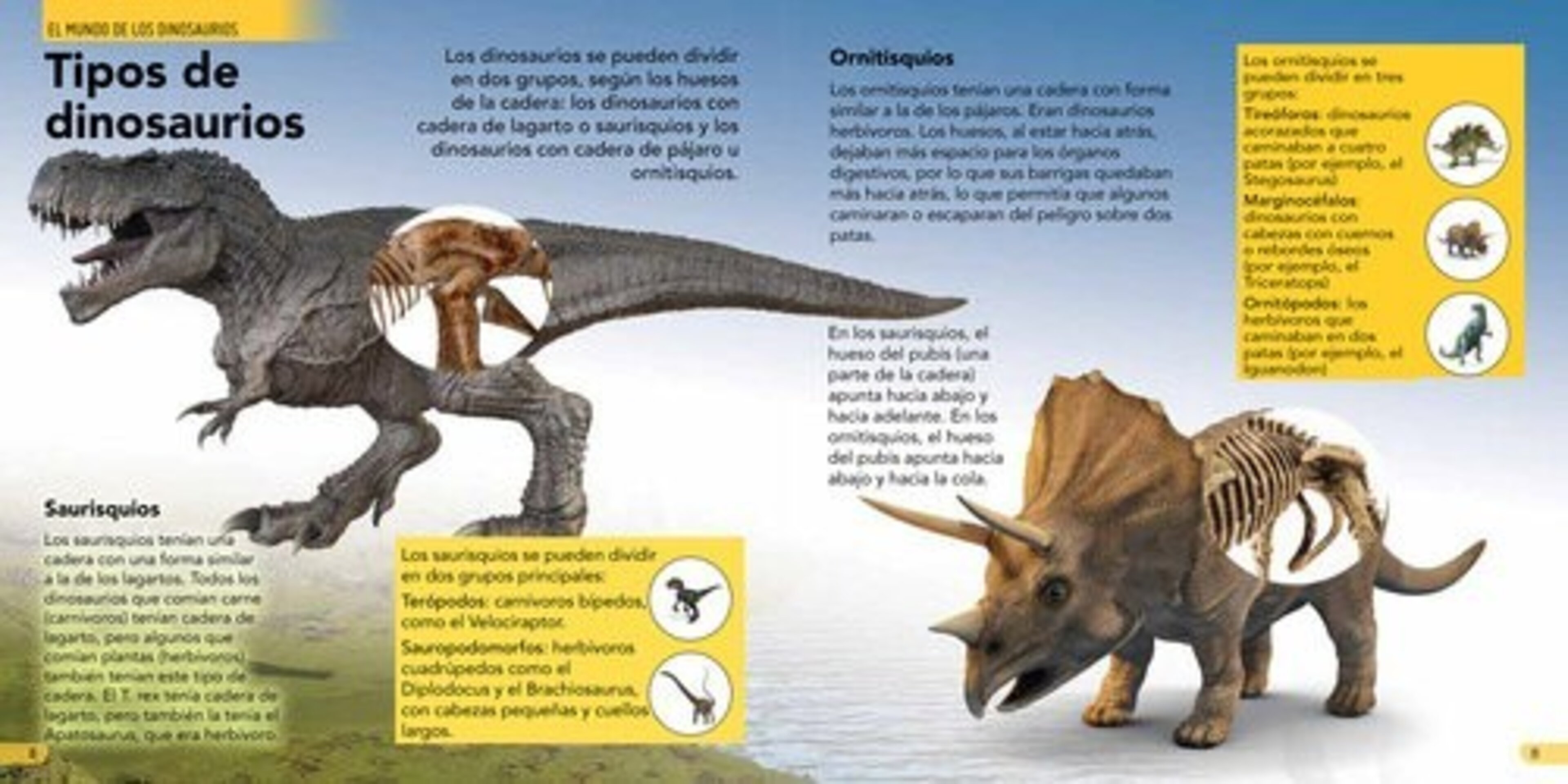 ENCICLOPEDIA INFANTIL DE LOS DINOSAURIOS ( VV. AA.) - 3