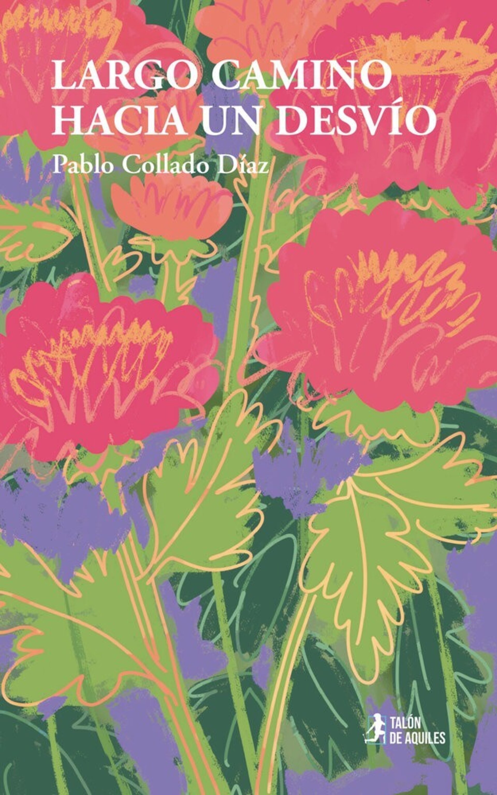 LARGO CAMINO HACIA UN DESVIO  ( COLLADO DÍAZ, PABLO ) - 1